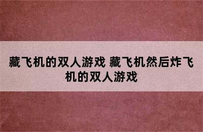 藏飞机的双人游戏 藏飞机然后炸飞机的双人游戏